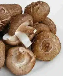 CERTIFIED ORGANIC Shiitake Mushroom