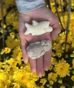 Tally’s – Shark Unscented Body Soap